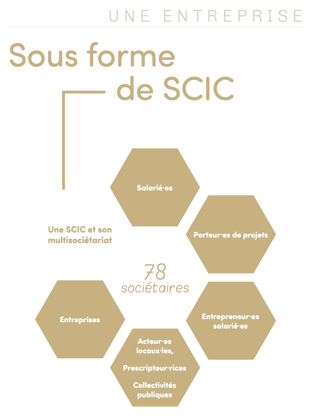 Interstices Sud Aquitaine, une entreprise sous forme de SCIC